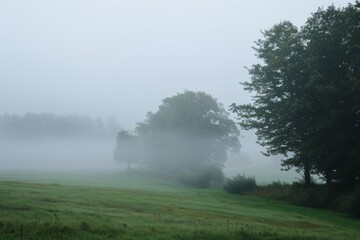 Obraz na płótnie Canvas Misty forest landscape at dawn