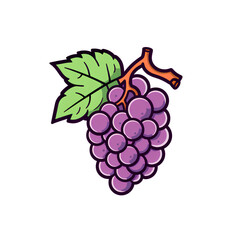Grape, simple line art with color, isolated, no background