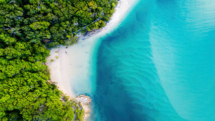 Aerial View: Breathtaking Beach, Coastline & Lush Forest Paradise