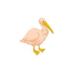 vector drawing pelican, wild bird isolated at white background, hand drawn illustration - 782695696