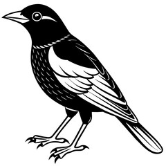 illustration of a bird