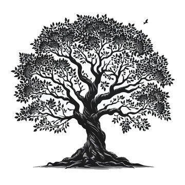 Free vector Tree silhouette isolated on white background.