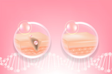 Hyaluronic acid and Niacinamide before and after hair and skin solutions ad, pink collagen serum drops into skin cell with cosmetic advertising background ready to use, illustration vector.