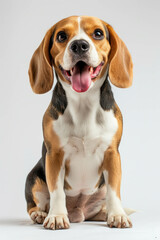 Explore the happiness of a beagle in this vibrant studio photograph against a pristine white backdrop. AI generative technology brings out the best in pet portraits.