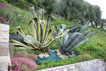 Landschaftsbilder und Reisebilder