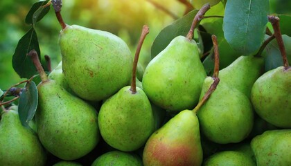 pears on the market