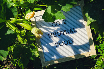 Letter board with text CO2 NEUTRAL FOOD on background of garden bed with green zucchini. Organic farming, produce local vegetables concept. Supporting local farmers