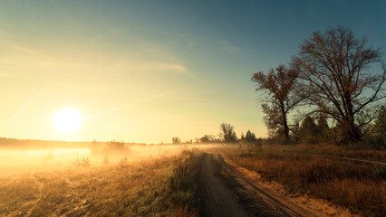 Rural landscape. Road to a field on a sunny foggy morning - 782724271