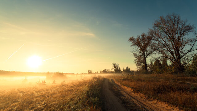 Rural landscape. Road to a field on a sunny foggy morning