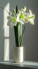 Elegant amaryllis arrangement, minimalist style, soft backlight, side perspective, Adobe unique , Hyper-Realism - obrazy, fototapety, plakaty
