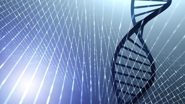 Loop 3d dna chain with digital technology lines pattern animation background.