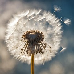 a dandelion seed floating through the sky - 1