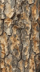 Detailed view of the rugged and majestic bark of an oak tree. Wallpaper. Background.