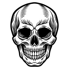 skull and crossbones head mascot,skull silhouette,vector,icon,svg,characters,Holiday t shirt,black skull drawn trendy logo Vector illustration,skull on a white background,eps,png