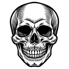 skull and crossbones head mascot,skull silhouette,vector,icon,svg,characters,Holiday t shirt,black skull drawn trendy logo Vector illustration,skull on a white background,eps,png