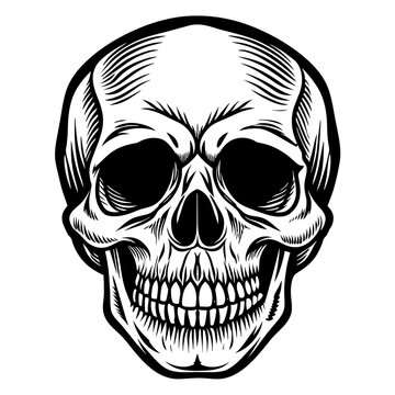 skull and crossbones head mascot,skull silhouette,vector,icon,svg,characters,Holiday t shirt,black skull drawn trendy logo Vector illustration,skull on a white background,eps,png