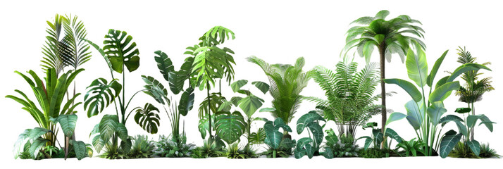 HD Tropical Plants - obrazy, fototapety, plakaty