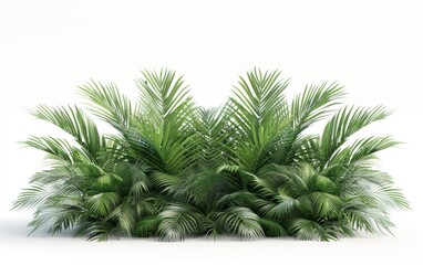 Obraz premium Green leaves isolated on white background and free copy space