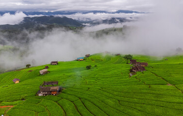 Rice terrace fields at Pa Bong Piang village Chiang Mai, Thailand. - 782785073