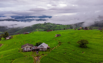 Rice terrace fields at Pa Bong Piang village Chiang Mai, Thailand. - 782785074