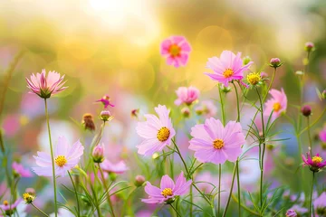 Fotobehang Dreamy meadow of wildflowers with a focus on colorful cosmos, a delight for allergy sufferers © thanakrit