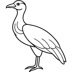 sketch of a bird