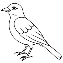illustration of a bird
