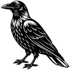 crow on a white background