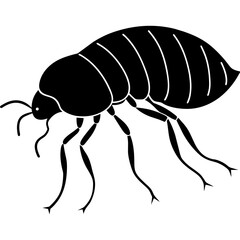 illustration of a wasp