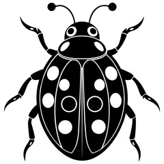 state potato beetle