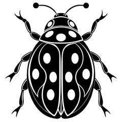 illustration of a ladybug © bizboxdesigner