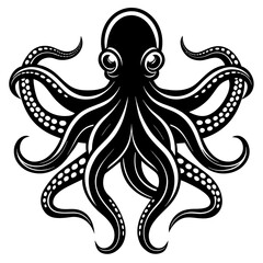 octopus on a white background