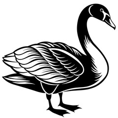 illustration of a goose