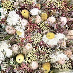 A textured background with Australian native flowers, top view. For Social media posts, blogs, ads for florists and farmers. Square, real photo. 