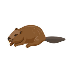 vector drawing beaver, cartoon animal isolated at white background, hand drawn illustration - 782808824