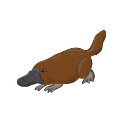 vector drawing duck-billed platypus, cartoon animal isolated at white background, hand drawn illustration - 782809022