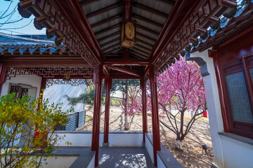 Ancient Chinese buildings in spring，jiangnan pavilions
