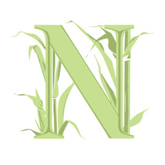 the letter N is bamboo green