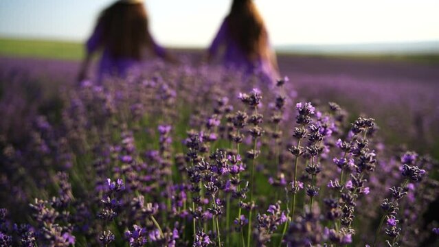 Mother and daughter walk through a lavender field dressed in purple dresses, long hair flowing and wearing hats. The field is full of purple flowers and the sky is clear.