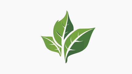 Leaf Logo Vector Template Design Illustration
