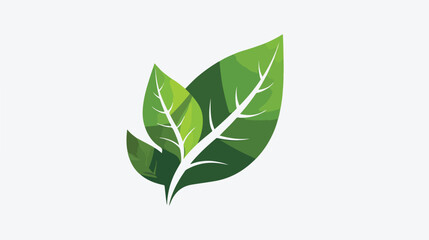 Leaf Logo Vector Template Design Illustration
