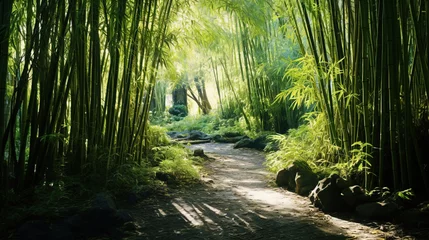 Deurstickers bamboo forest in the morning. © Shades3d