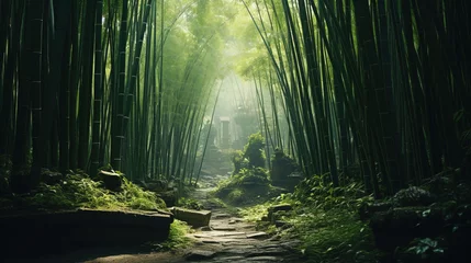 Poster bamboo forest in the morning. © Shades3d