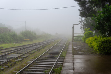Fog envelops the serene Ambewela railway, highlighting the tracks and greenery. A mystical aura,...