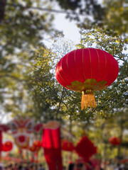 Traditional Chinese red lantern hanged in garden