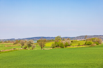 Rural landscape view with budding trees on a hill at springtime