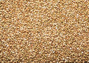 Green raw healthy organic buckwheat grain seeds textured background.Macro.