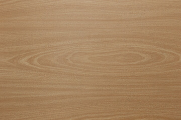 wood texture and annual rings background
