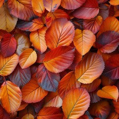 Obraz premium Autumnal Fallen Leaves Patterns in Fiery Oranges