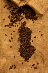 the map of Albania formed with coffee beans